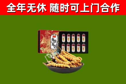 巴里坤烟酒回收冬虫夏草礼盒.jpg