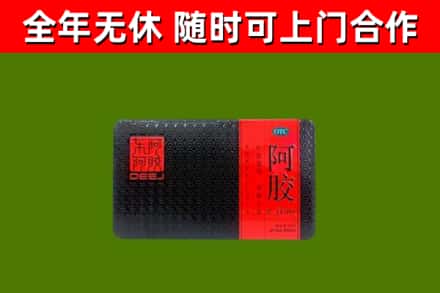 巴里坤回收阿胶
